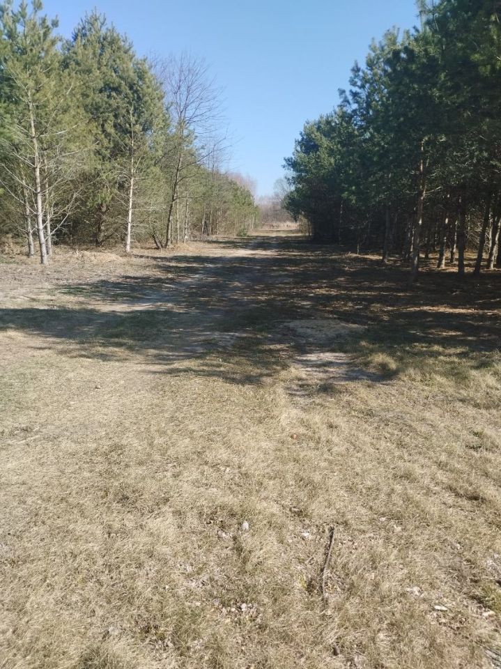 Działka budowlana Jedlicze B, ul. Bukowa. Zdjęcie 2