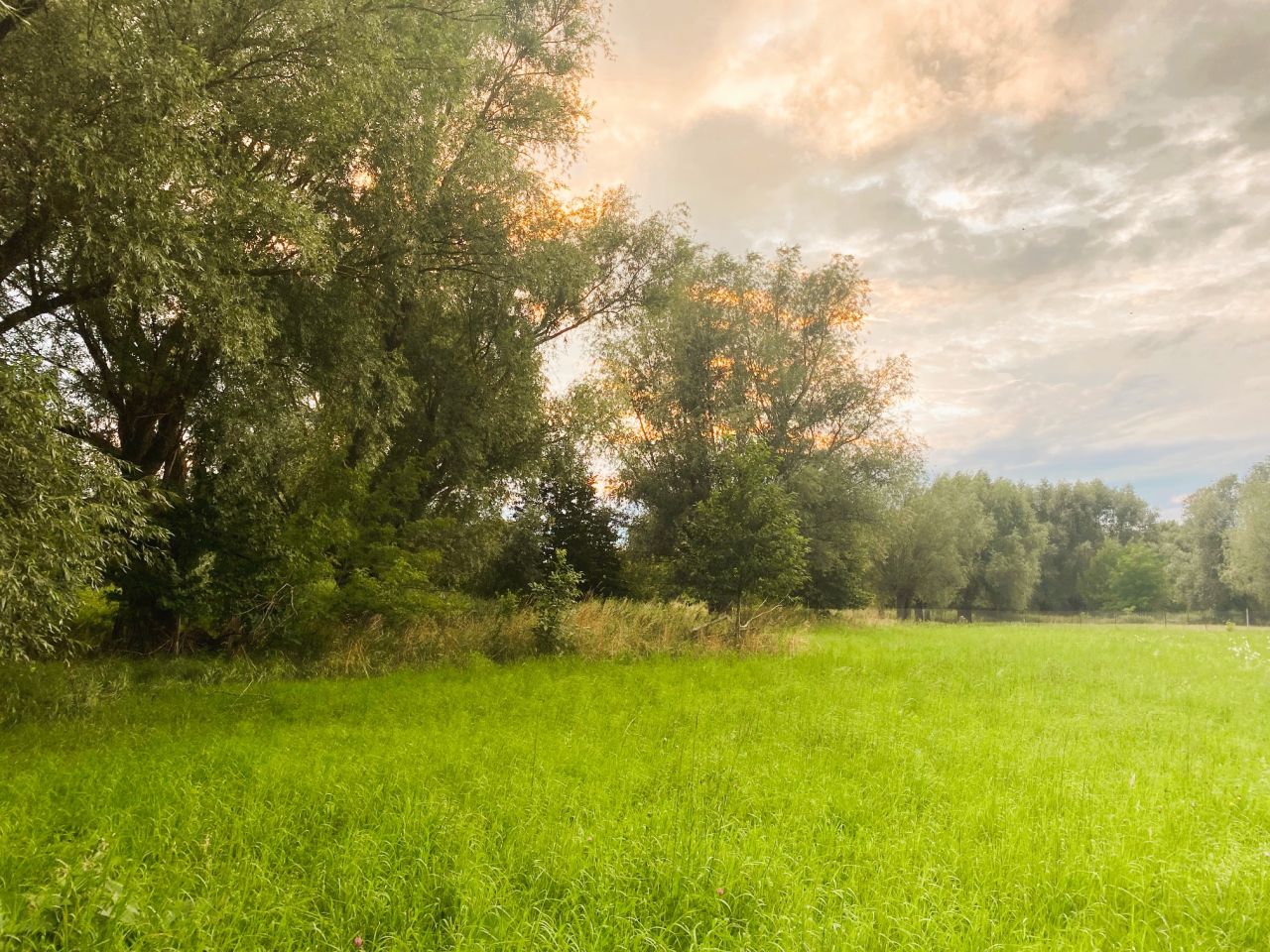 Działka budowlana Cząstków Mazowiecki. Zdjęcie 3