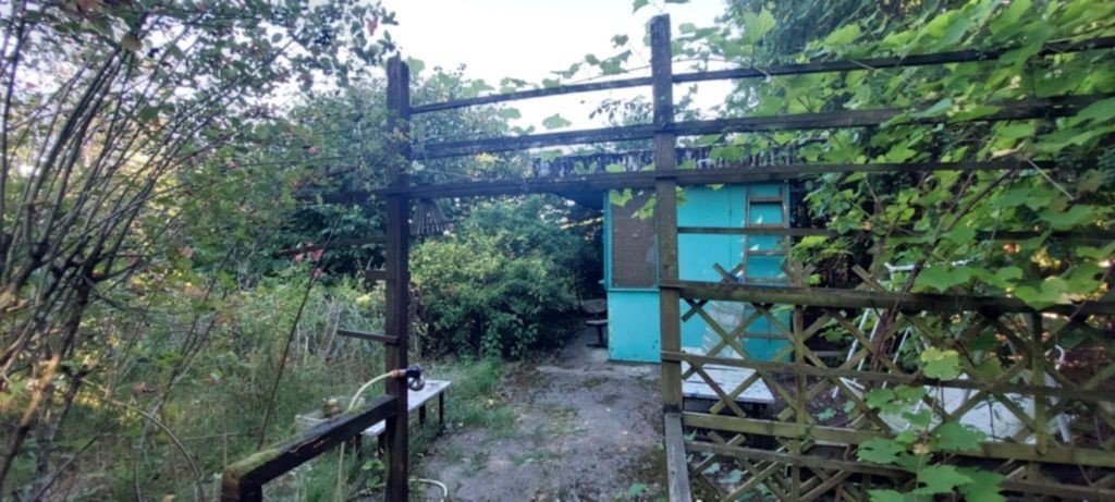 Działka rod Krajowice. Zdjęcie 3