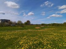 Działka rekreacyjna Raj. Zdjęcie 2