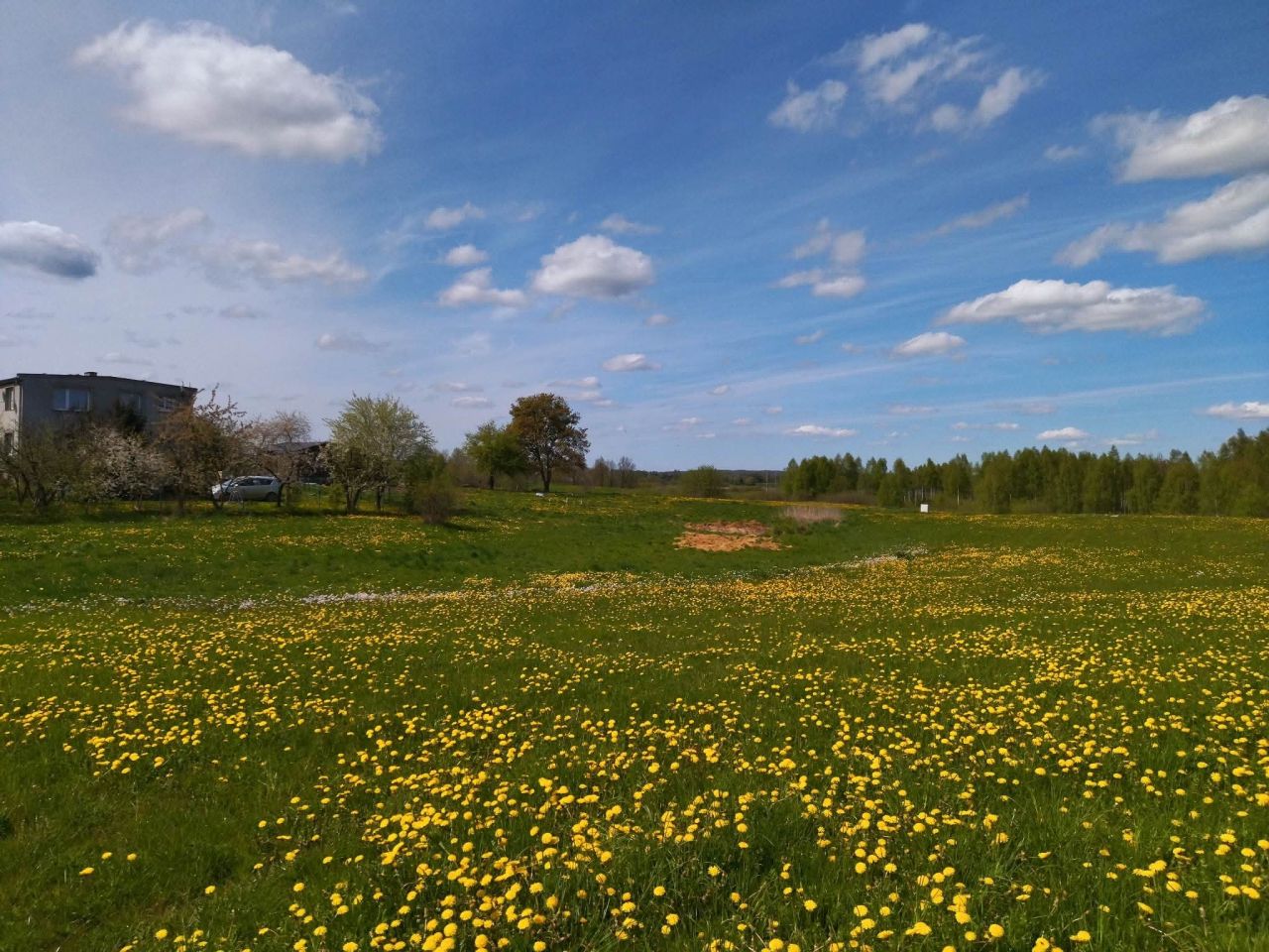 Działka rekreacyjna Raj. Zdjęcie 3