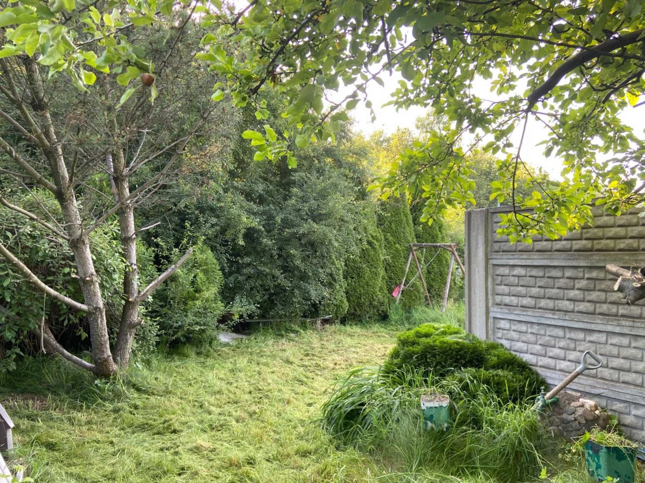 Działka rod Łódź Bałuty. Zdjęcie 6