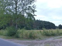 Działka rolno-budowlana Małomin. Zdjęcie 3