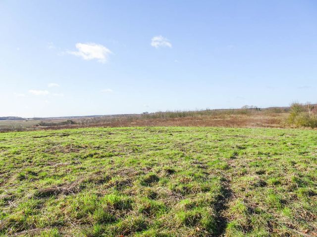 Działka budowlana Dobra, ul. Graniczna. Zdjęcie 2