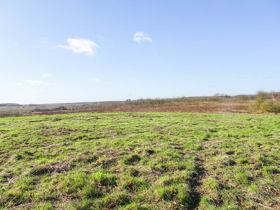Działka budowlana Dobra, ul. Graniczna. Zdjęcie 2