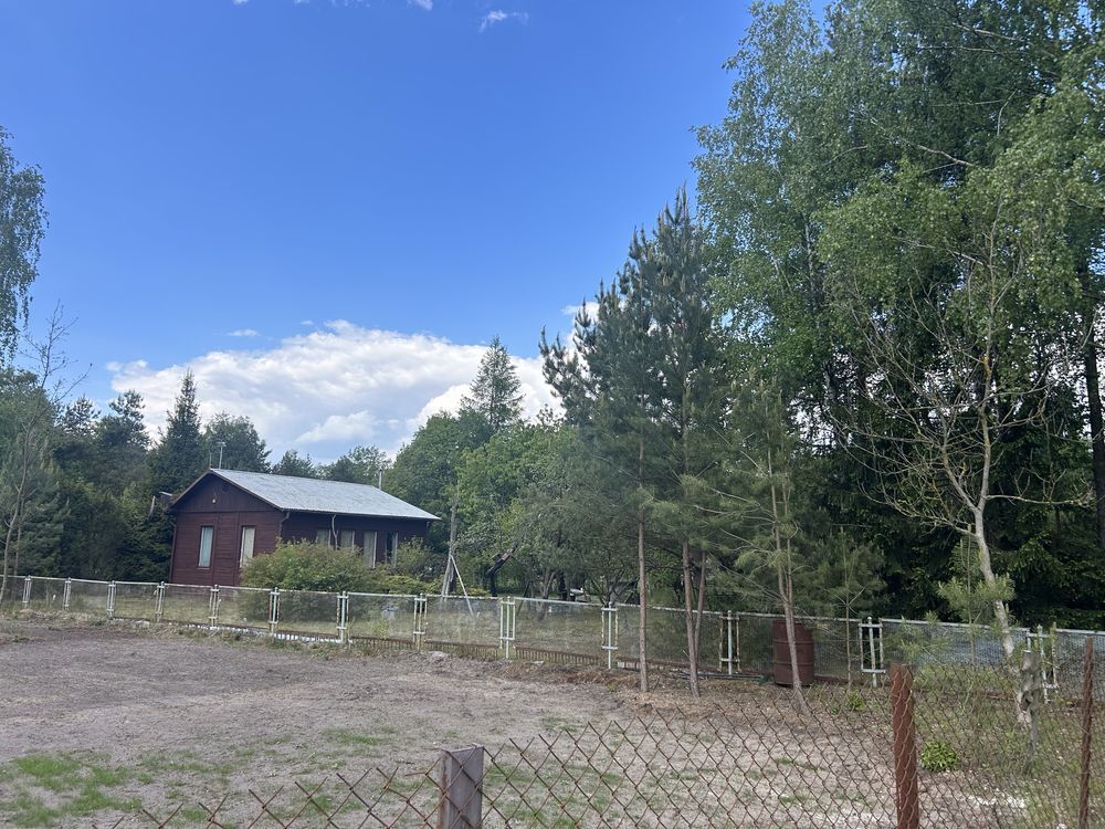 Działka rekreacyjna Turze. Zdjęcie 3