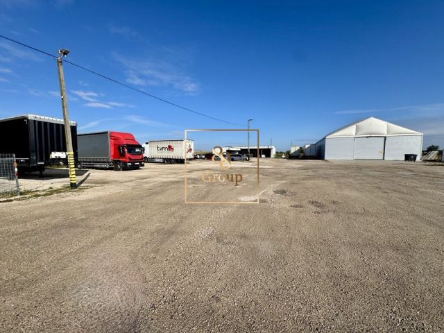 Hala/magazyn Duchnice, ul. Żytnia. Zdjęcie 5