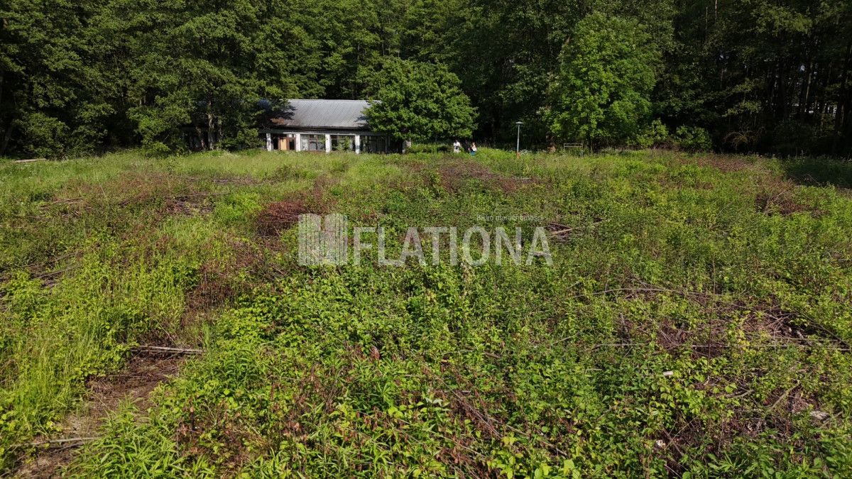 Działka inwestycyjna Iława, wyspa Wielka Żuława. Zdjęcie 8