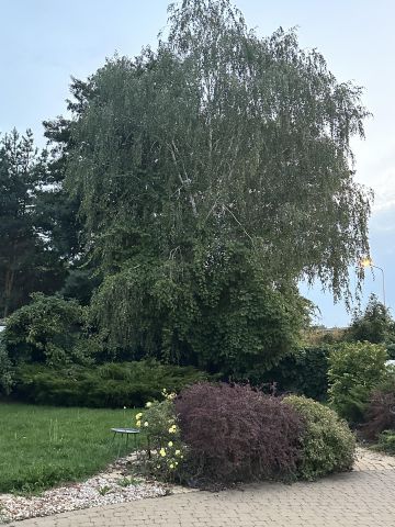 dom wolnostojący, 4 pokoje Huta Żabiowolska, Główna. Zdjęcie 25