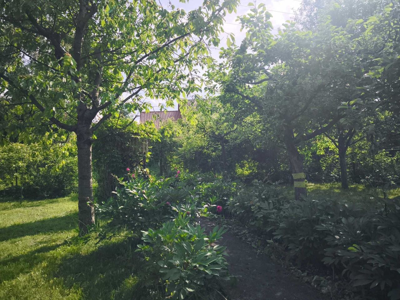 Działka rod Olsztyn. Zdjęcie 3
