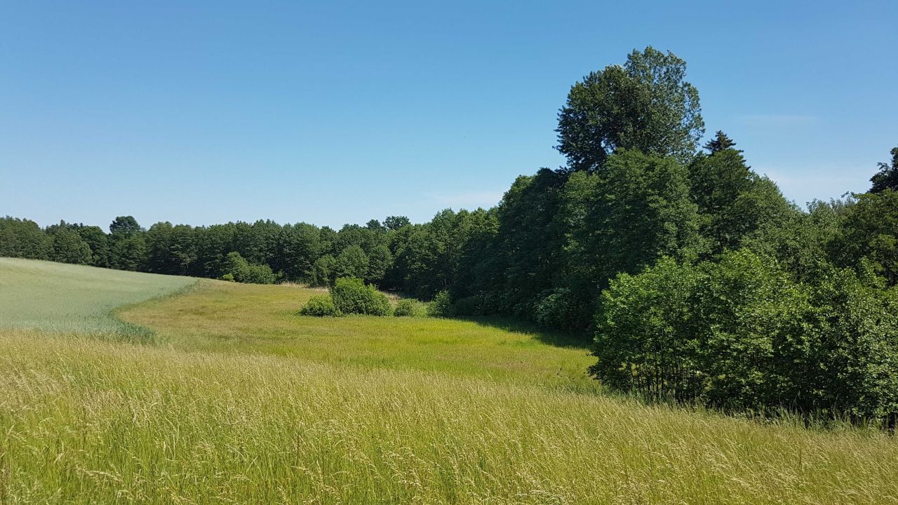 Działka rolna Chrztowo. Zdjęcie 6