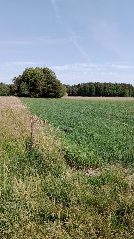 Działka rolno-budowlana Kamionka Zagrody. Zdjęcie 2