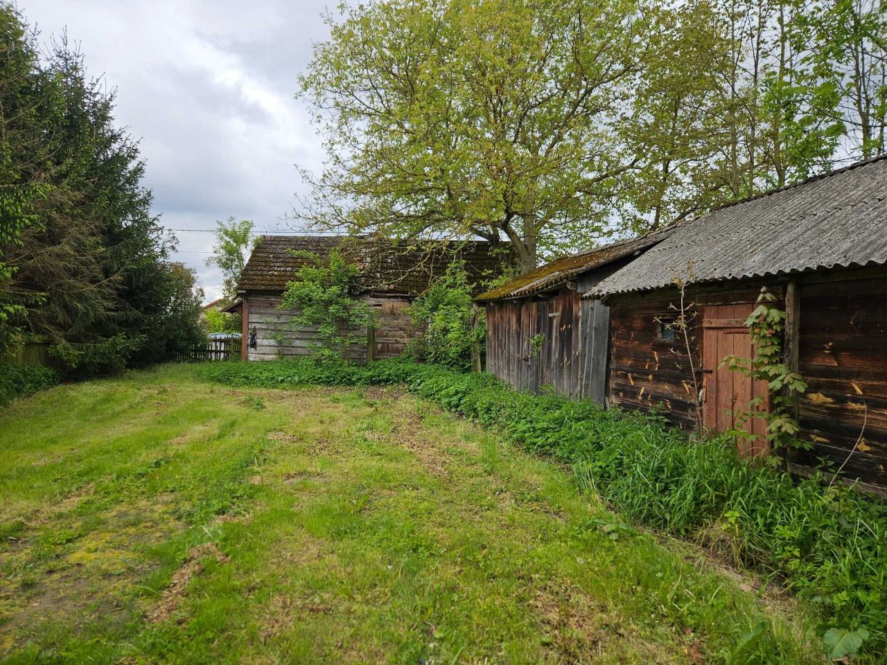 Działka rolno-budowlana Wólka Modrzejowa-Kolonia. Zdjęcie 6