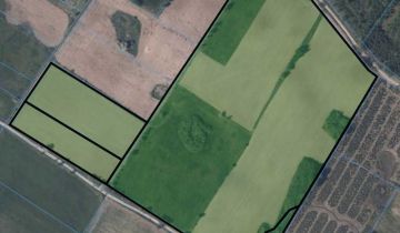 Działka rolna Królewo