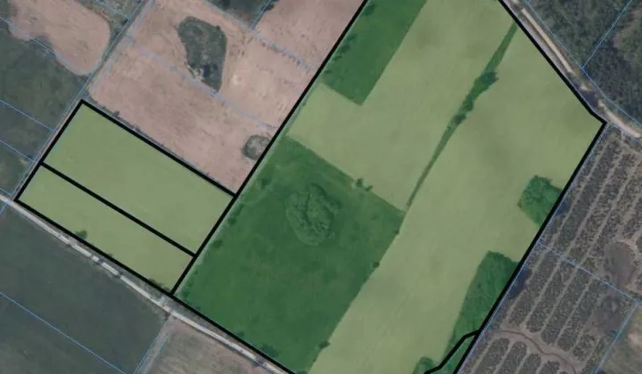 Działka rolna Królewo