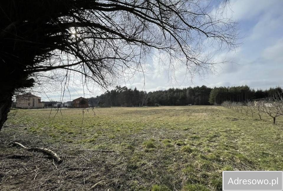 Działka rolno-budowlana Krzcin. Zdjęcie 4