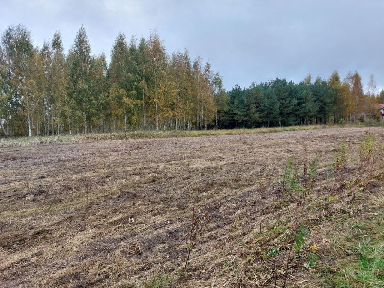 Działka rolno-budowlana Klecewko. Zdjęcie 4