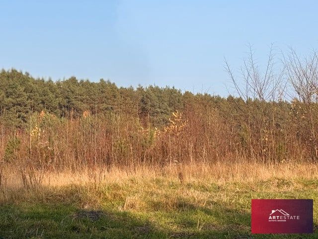 Działka siedliskowa Florentynów. Zdjęcie 4