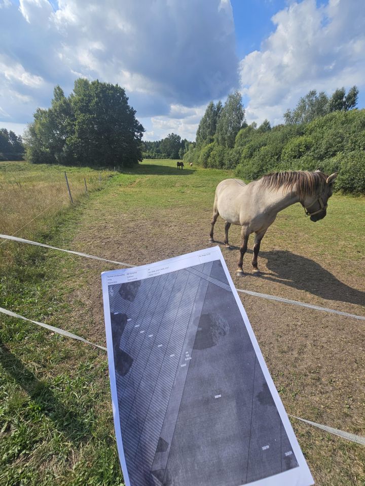 Działka rolna Zajęczniki. Zdjęcie 7