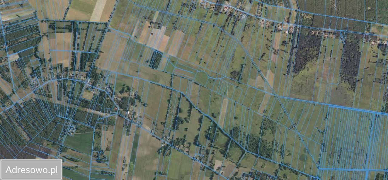 Działka rolna Olszowiec. Zdjęcie 3