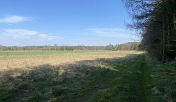 Działka rolna Przybiernów