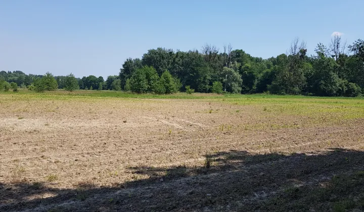 Działka rolna Gołkowice, ul. Na Górze