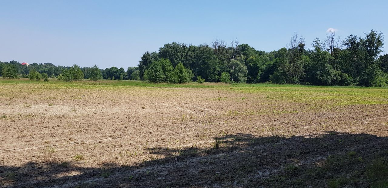 Działka rolna Gołkowice, ul. Na Górze