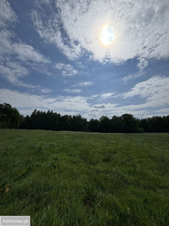 Działka rolno-budowlana Głogoczów. Zdjęcie 5