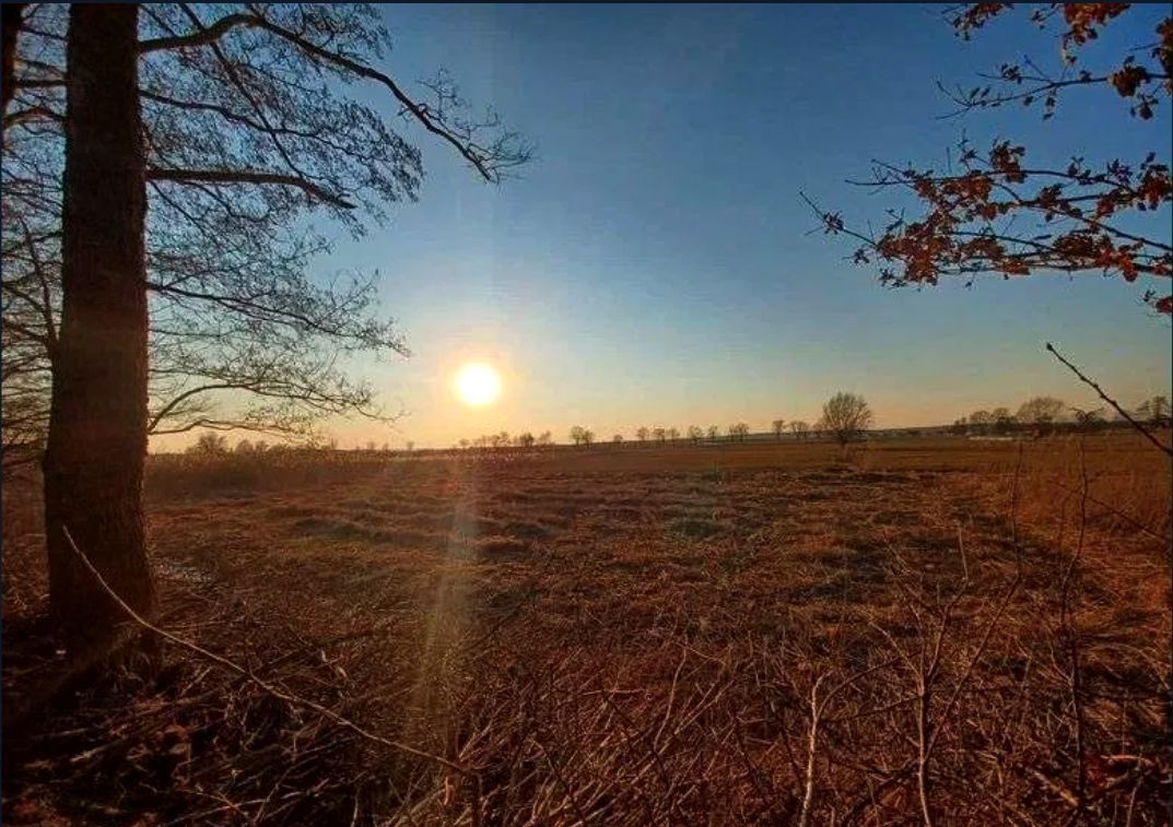 Działka budowlana Gorzów Śląski, Gorzów Śląski. Zdjęcie 15