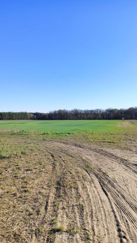 Działka budowlana Lipa. Zdjęcie 1