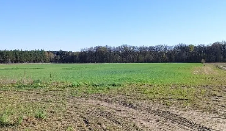 Działka budowlana Lipa