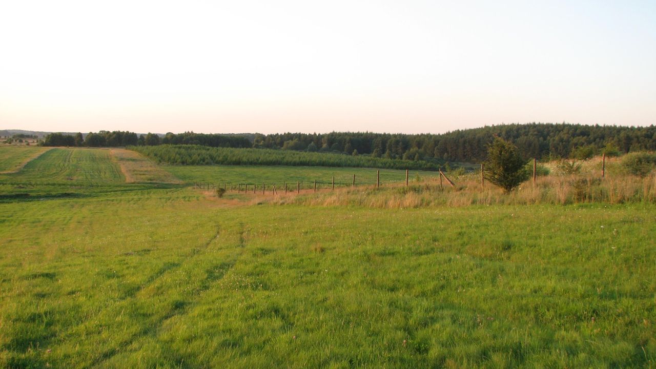 Działka siedliskowa Biała. Zdjęcie 6