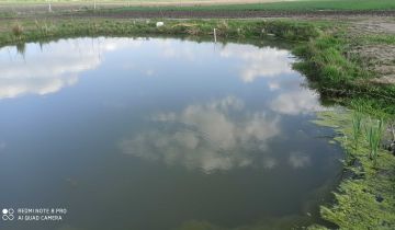 Działka rolna Zbaków Górny