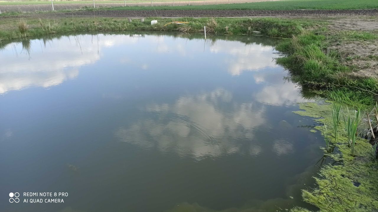 Działka rolna Zbaków Górny. Zdjęcie 2