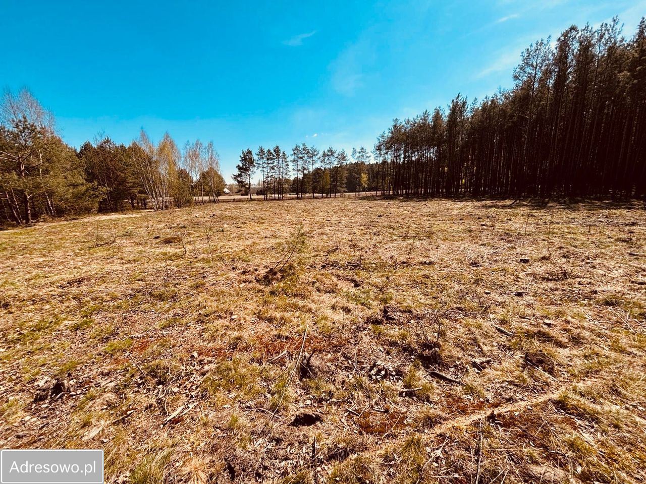 Działka budowlana Ostrów Mazowiecka, ul. Romualda Traugutta. Zdjęcie 1