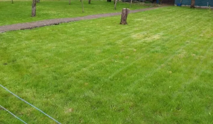 Działka rod Inowrocław, ul. Towarowa