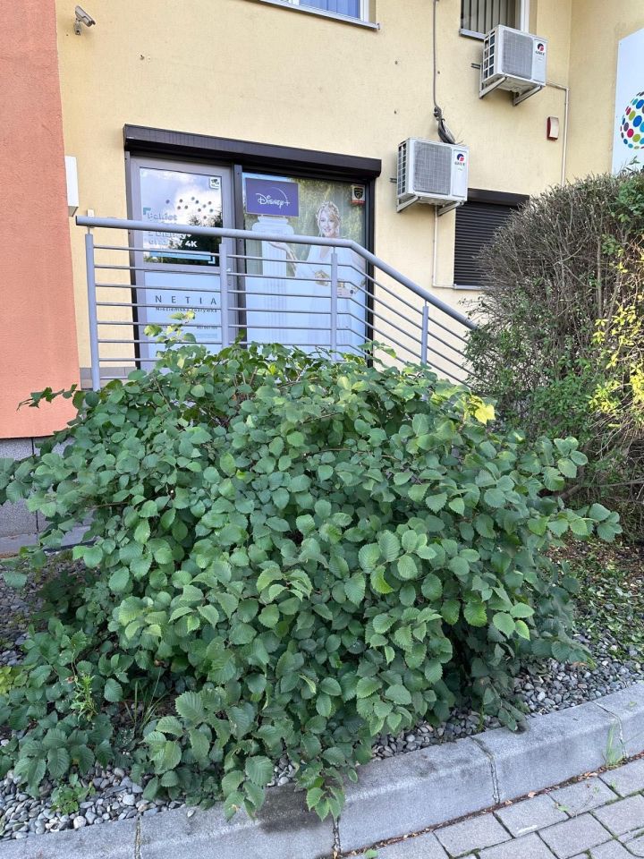 Biuro Kraków Prądnik Biały, ul. Bociana. Zdjęcie 6