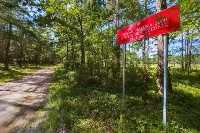 dom wolnostojący, 8 pokoi Franciszków. Zdjęcie 18