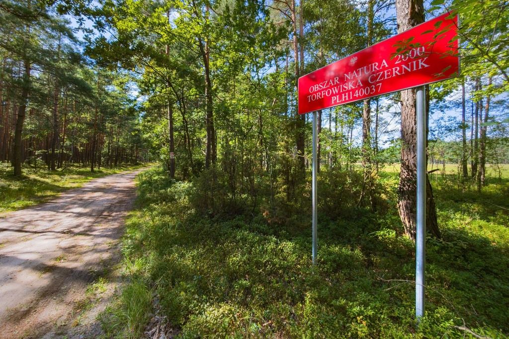 dom wolnostojący, 8 pokoi Franciszków. Zdjęcie 18