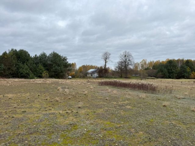 Działka rolno-budowlana Choinek. Zdjęcie 8