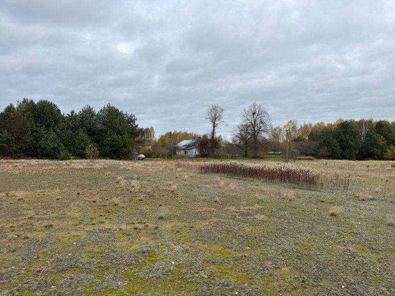 Działka rolno-budowlana Choinek. Zdjęcie 8