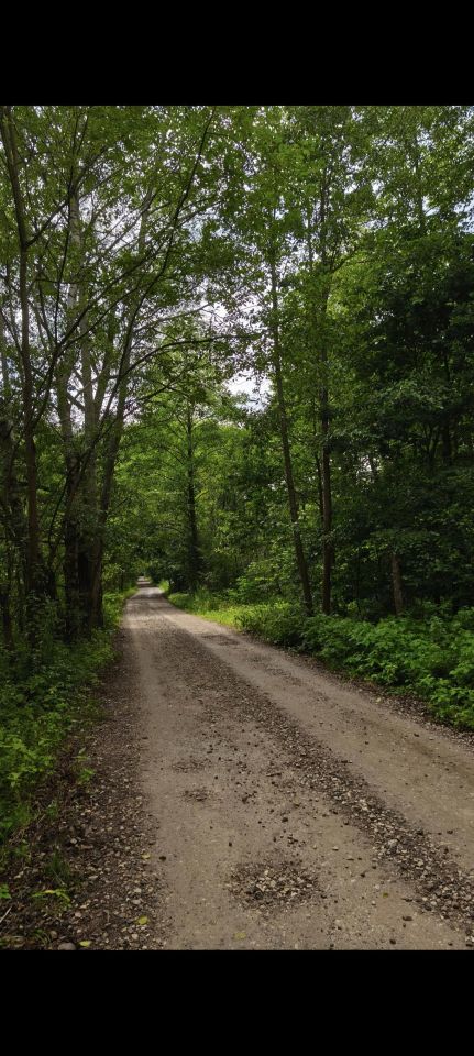 Działka budowlana Władków, ul. Szkocka. Zdjęcie 2