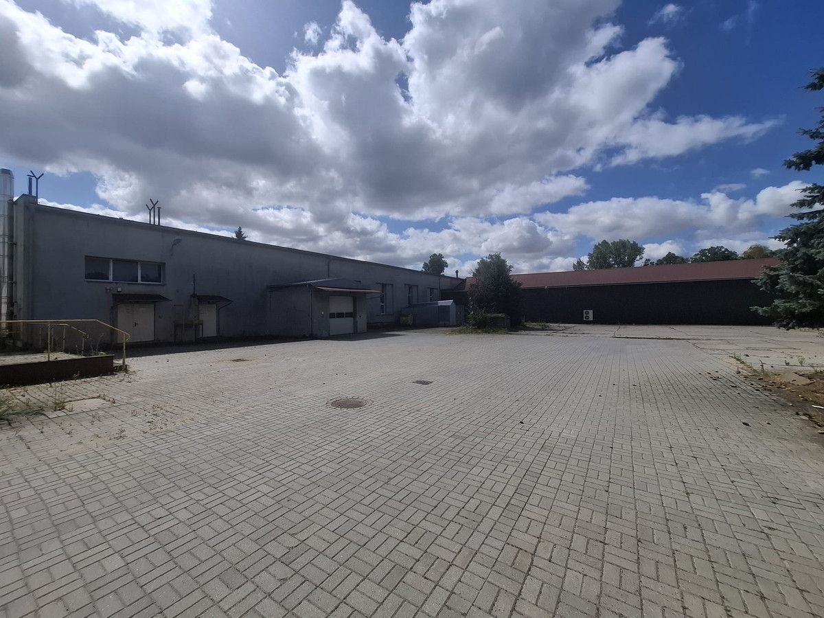 Lokal Brzeg. Zdjęcie 4