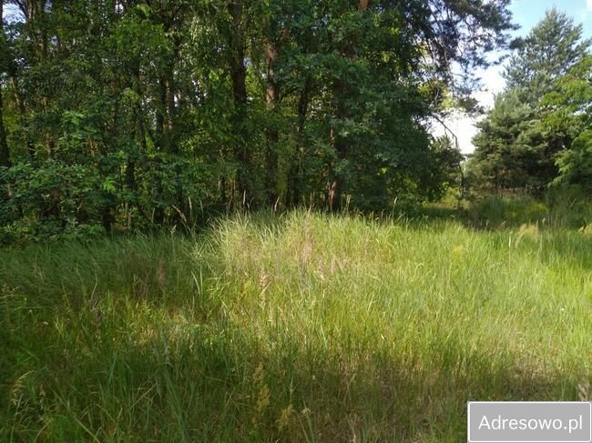 Działka budowlana Rogalinek, ul. Fiedlera