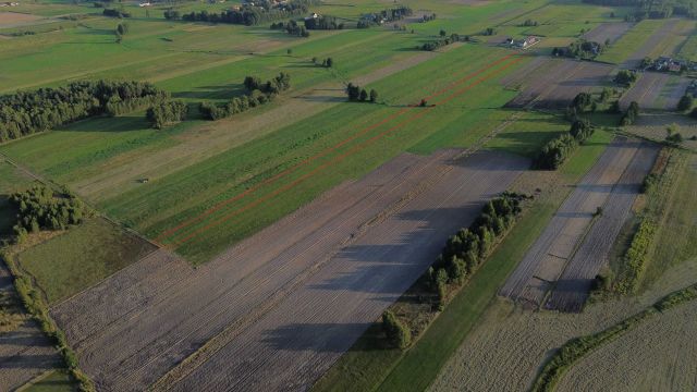 Działka budowlana Stara Jedlanka Jedlanka. Zdjęcie 1