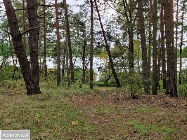 Działka Miastko, ul. Klonowa. Zdjęcie 1