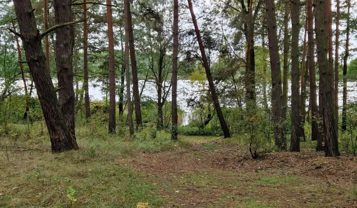 Działka Miastko, ul. Klonowa