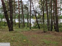 Działka Miastko, ul. Klonowa