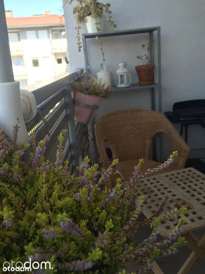 Mieszkanie 2-pokojowe Poznań Strzeszyn, ul. Literacka. Zdjęcie 2