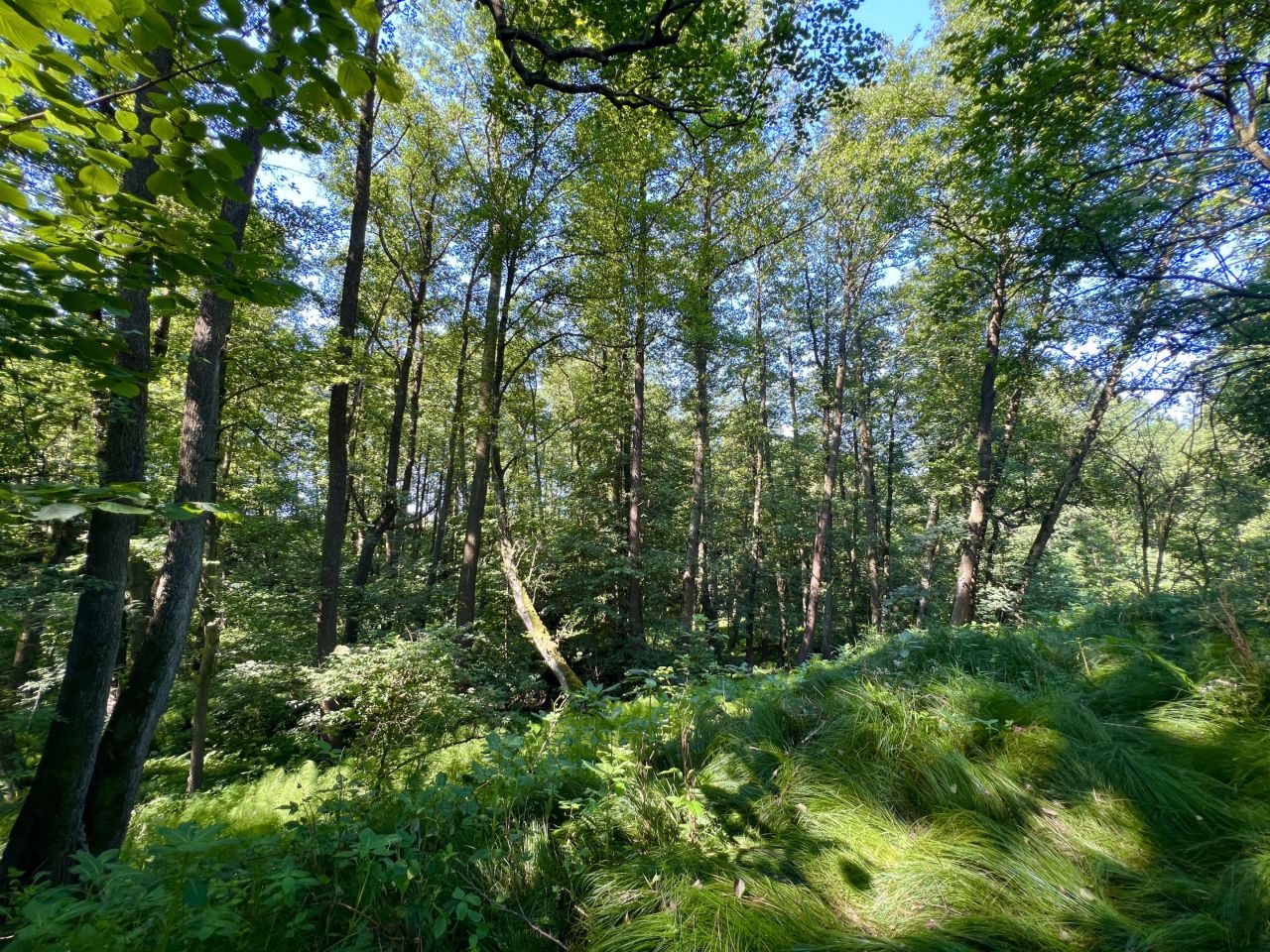 Działka budowlana Pszów, Pszów. Zdjęcie 18